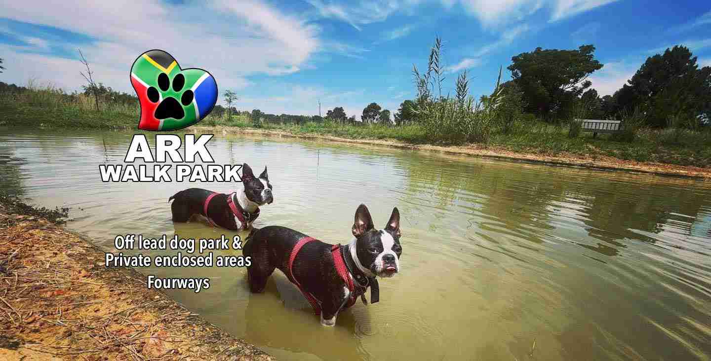 Ark Walk Park