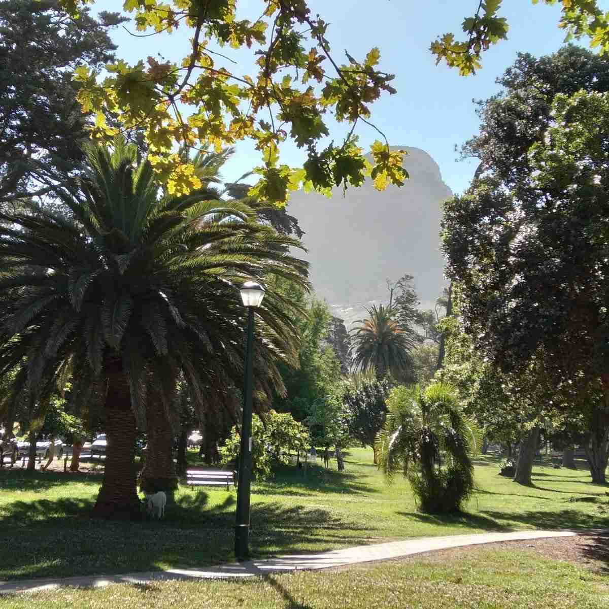 De Waal Park