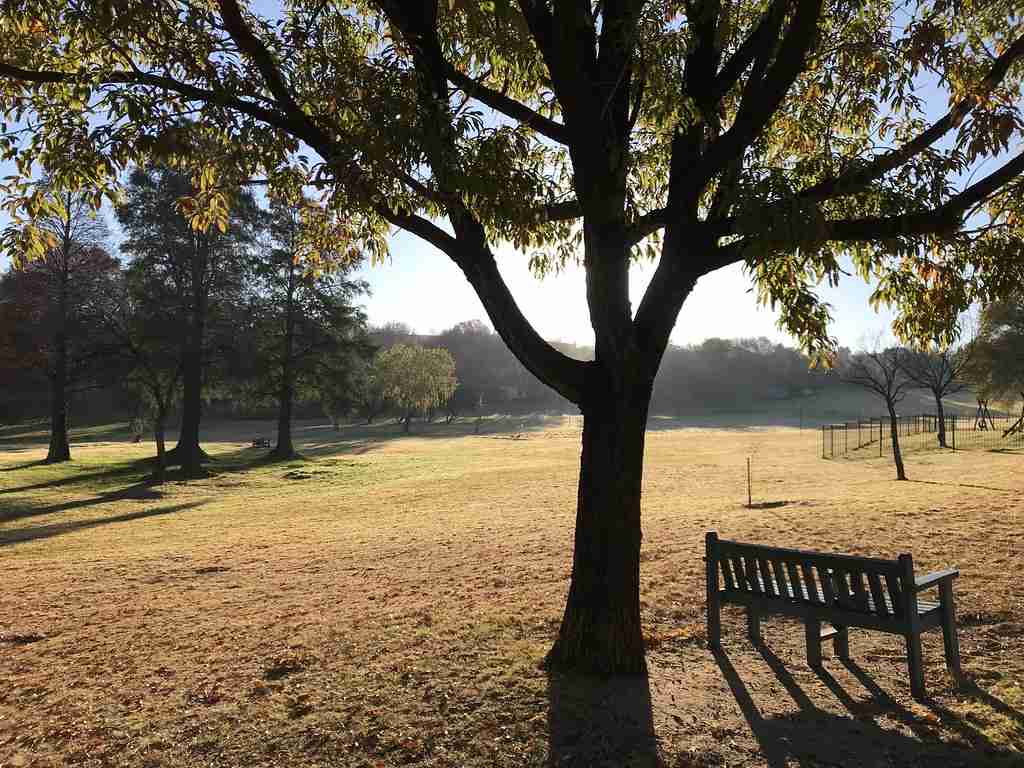 Hugh Wyndham Park