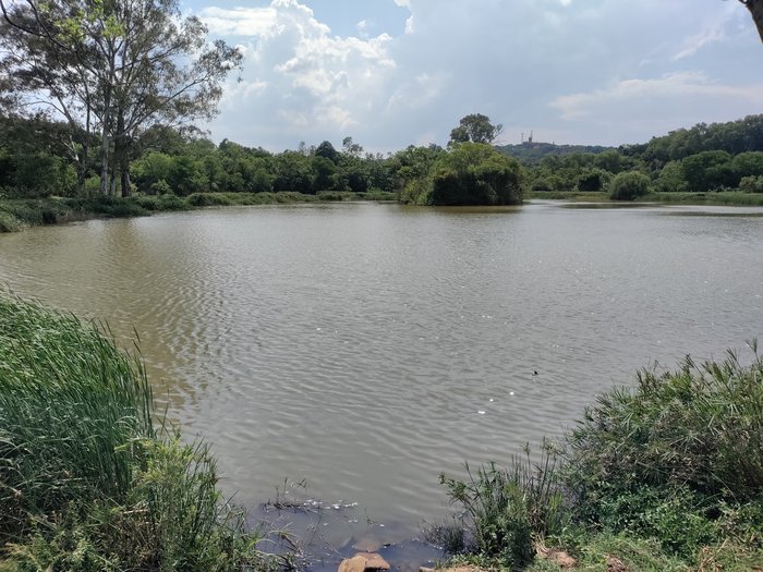 Struben Dam Bird Sanctuary