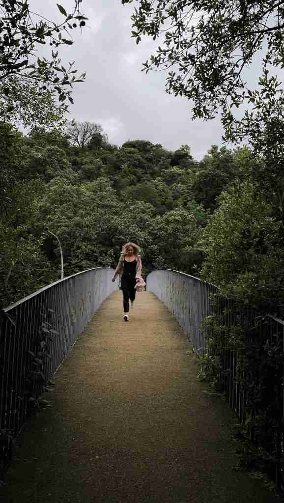 The Wilds Nature Reserve