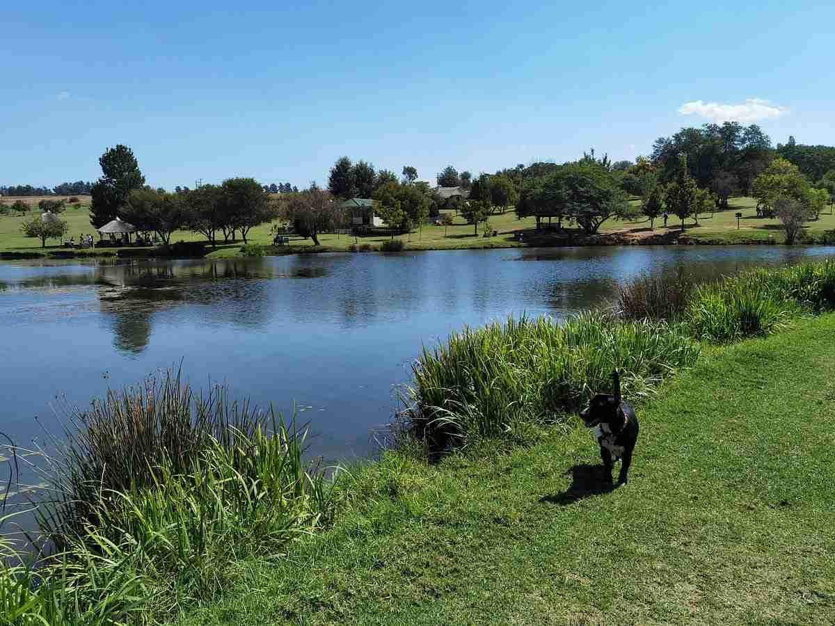 Walkhaven Dog Park